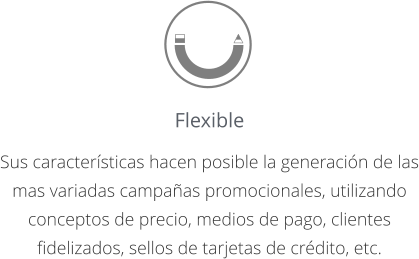 Flexible  Sus características hacen posible la generación de las mas variadas campañas promocionales, utilizando conceptos de precio, medios de pago, clientes fidelizados, sellos de tarjetas de crédito, etc.